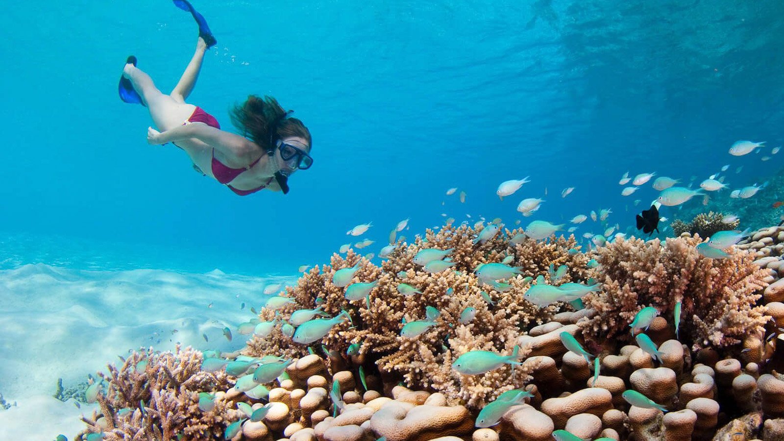 Diving Package
