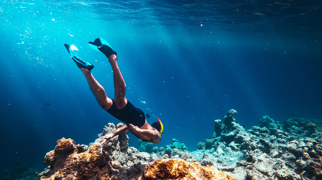 Colorful Coral Reef